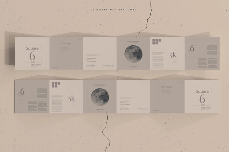 小册子方形六折小册子模型极简模型品牌