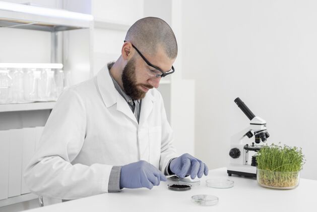 实验室在实验室做芽苗菜实验的人人设备显微镜