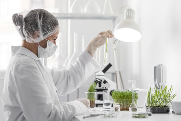 实验服侧视女子实验芽苗菜眼镜显微镜实验室