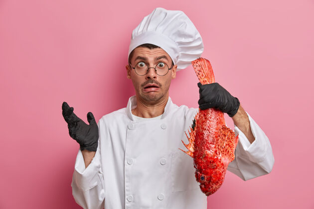 眼镜人 职业 餐厅员工 餐饮理念厨师手捧大红海鱼 为餐厅客人准备新鲜饭菜害怕手套害怕