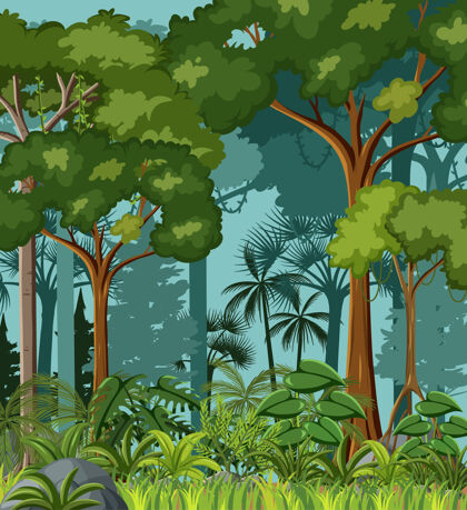 野生有藤本植物和许多树的空白丛林场景空树卡通