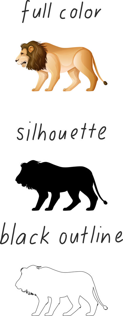 猫一套狮子的颜色 轮廓和黑色轮廓的白色背景生物涂鸦狮子