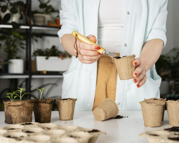 土壤顶视图植物的土壤叶子收获园艺工具