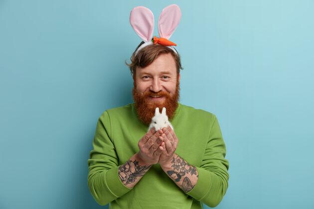 举行复活节假期的概念有着刺青手臂的姜胡子男人抱着小白兔 戴着兔子耳朵 绿色套头衫 表情愉快 隔着蓝色的墙复活节的象征复活节红发脸