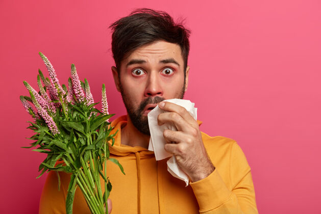 室内震惊的年轻人对春天的花草过敏 有哮喘 鼻子周围发红 拿着手帕 隔离在粉红色的墙上保健 花粉热 疾病概念花粉季节肿胀