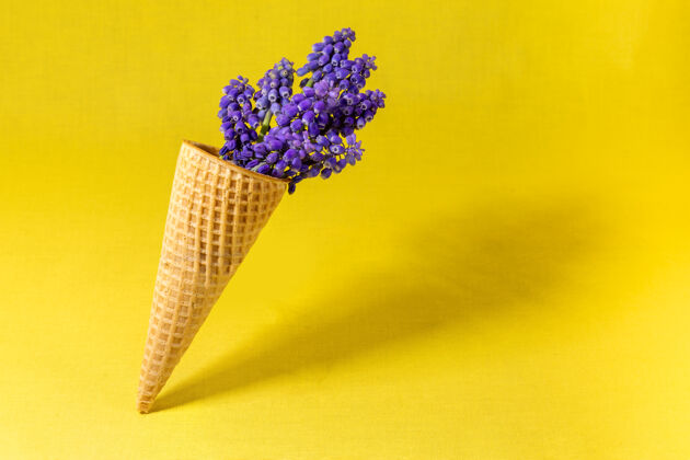 新鲜黄色墙上有花的冰淇淋筒侧视图 复制空间 春花概念圆锥形花白天