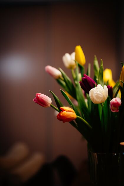 茎特写镜头美丽的花束与五颜六色的郁金香花白天季节浪漫