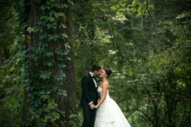 传统美丽的新婚夫妇在森林里摆姿势新娘快乐拥抱
