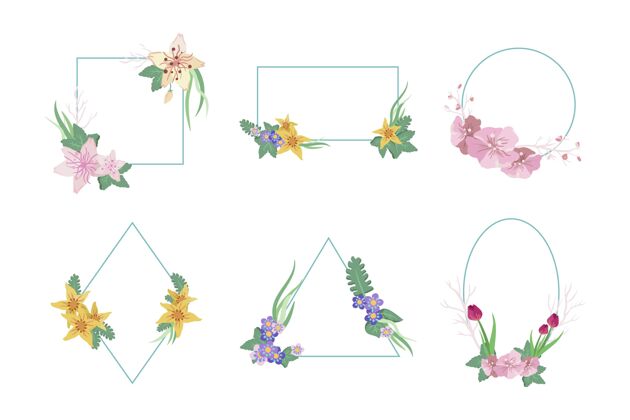植物手绘花架系列画框套装画框收藏花卉
