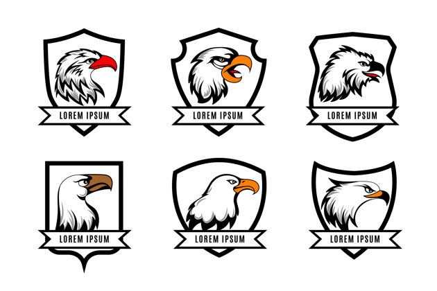 野生鹰或美国猎鹰头与盾牌徽章模板一套标志与盾牌和鹰盾牌喙羽毛