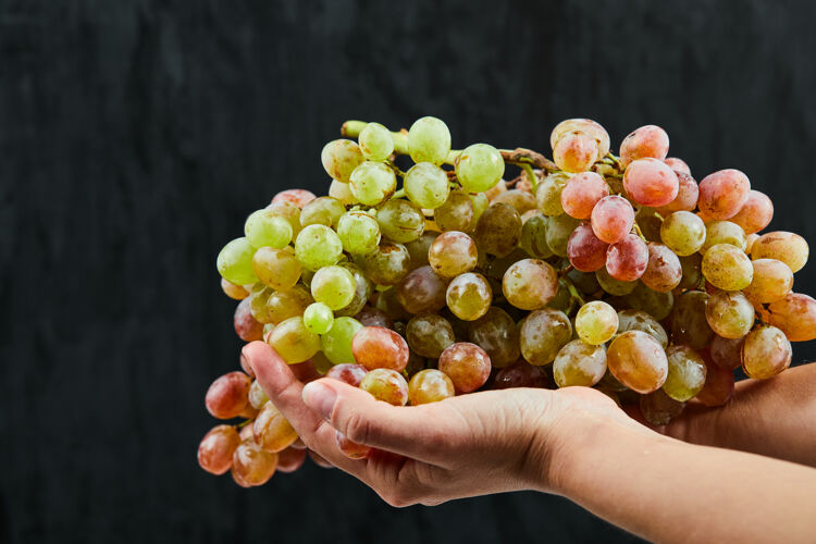 餐一堆新鲜的葡萄在手上的黑色背景高品质的照片水果有机季节