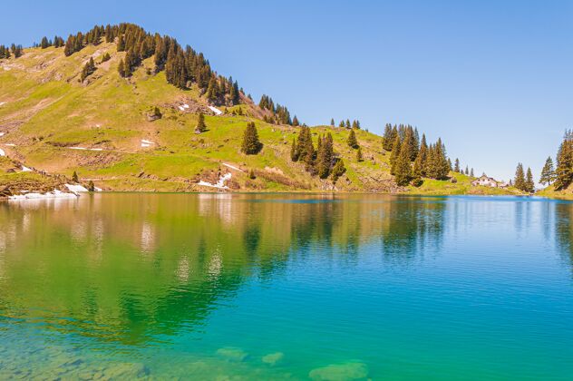 绿色瑞士山上的树木被laclioson湖环绕自然景观乡村