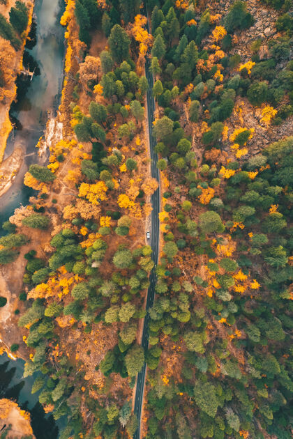 野生鸟瞰一条高速公路 穿越秋天五彩缤纷的大自然森林道路五彩缤纷