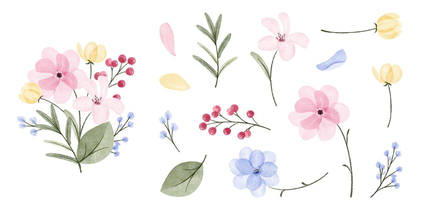 水彩画手绘水彩花卉收藏包装花花收集