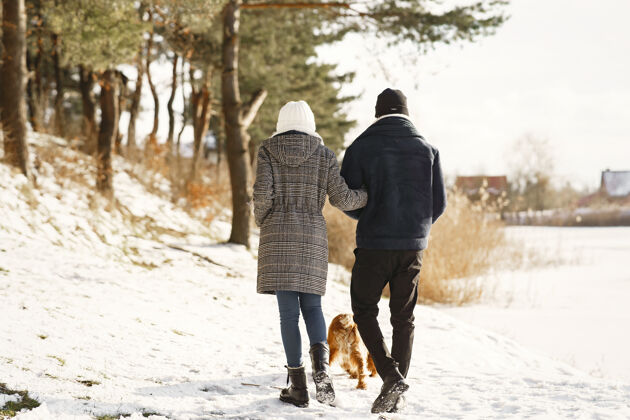 男人人们在外面散步冬天非洲夫妇带着狗雪微笑约会