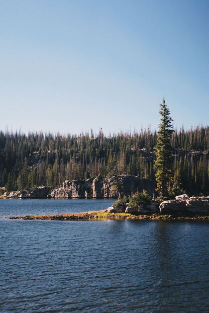 环境一个被森林包围的湖的垂直镜头林草湖