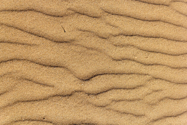海洋高角度拍摄粗糙的金色沙滩沙纹理高角度沙滩海洋