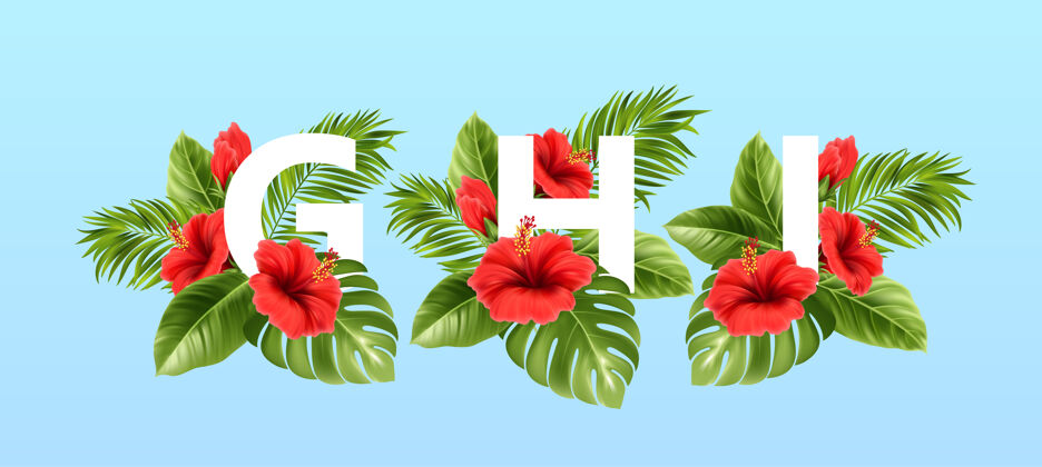热带夏季被夏天的热带树叶和红色的芙蓉花包围的信热带棕榈叶棕榈异国情调