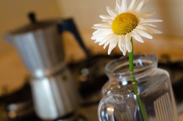早餐玻璃花瓶里的雏菊 背景是一个莫卡壶早晨花瓣能源