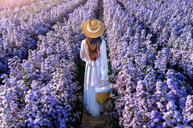 放松美丽的白衣女孩漫步在玛格丽特花坛 清迈在泰国花瓣爱女人