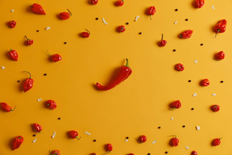 小上图：辛辣的红辣椒和哈巴内罗辣椒排列成圆形辛辣食物 墨西哥素食调味料和燃烧的蔬菜制作沙司 粉末 香料的原料扁平调味料辣椒