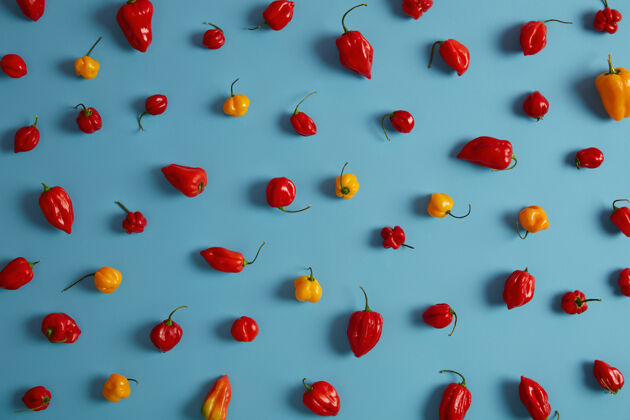 新鲜红 黄甜椒属于夜来香科 背景为蓝色原料可以晒干或制成粉末热量低 含有大量维生素c是健康饮食的补充品种顶部效果