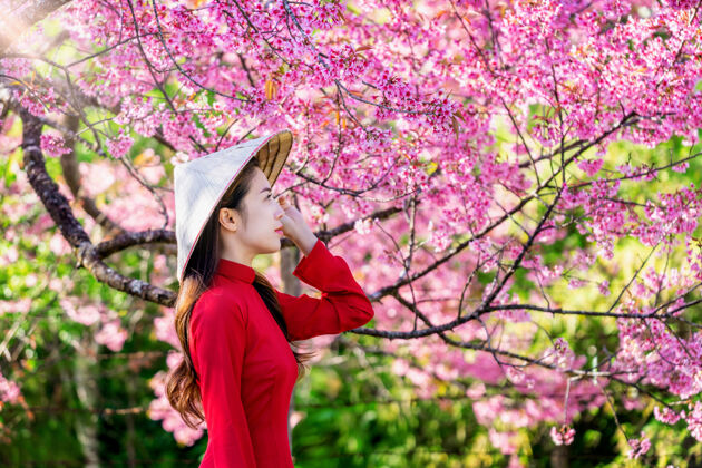 帽子樱花园里穿着越南传统文化的女人越南城市浪漫