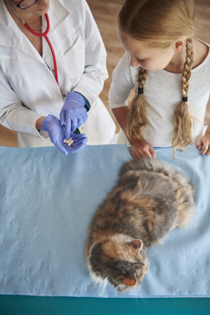 治疗兽医客户的高角度视图女孩猫橱柜