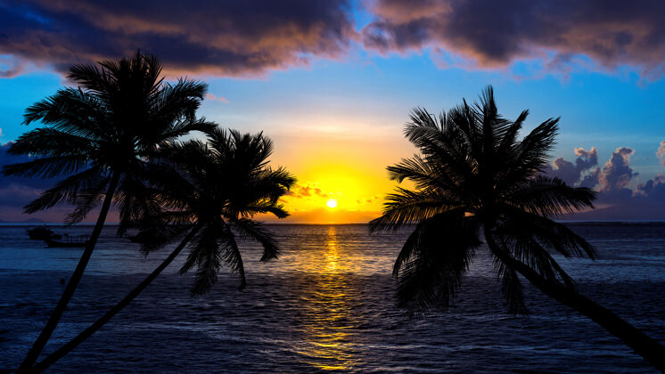 日出日落时的热带海滩 棕榈树的轮廓水自然异国情调