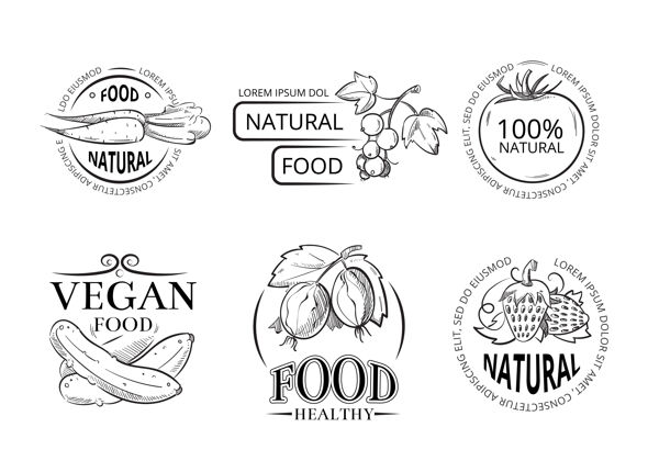 营养素菜手画标签和标志与涂鸦素食餐涂鸦有机新鲜