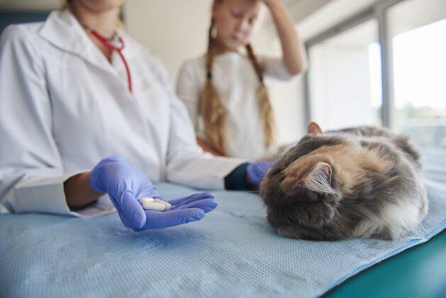 疾病兽医给生病的猫吃药片疾病客户家畜