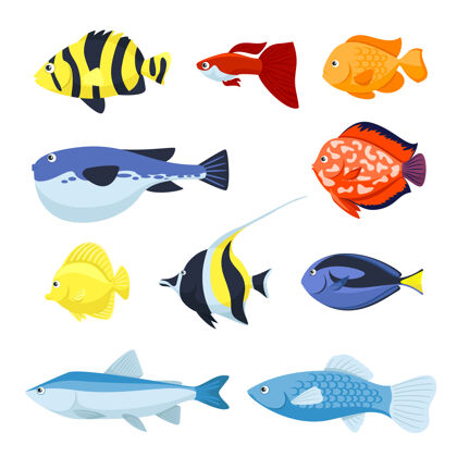 美丽水族馆 海洋和河流动物插图鱼集野生野生动物颜色