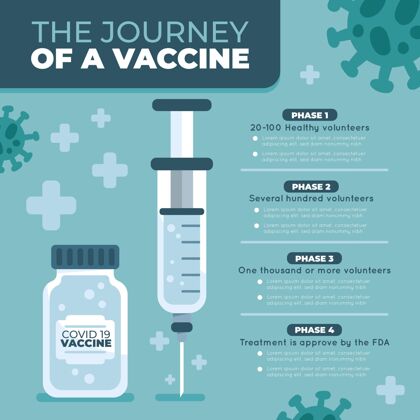 流感冠状病毒疫苗阶段信息图模板感染信息大流行
