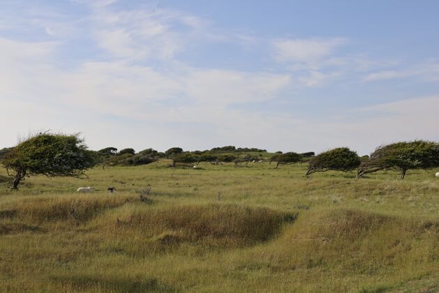 风景白天在朗斯特鲁普的鲁布杰格拍摄了一幅美丽的田野照片环境田野天空