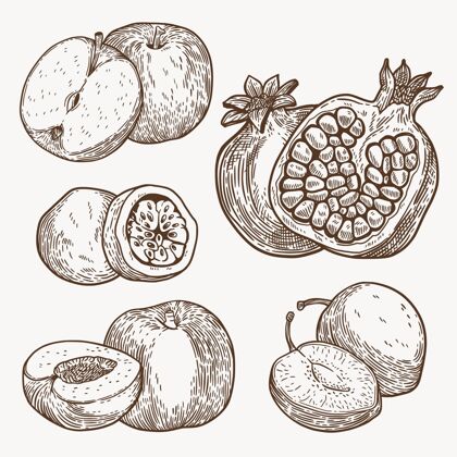 包装手绘插图水果收藏手绘浆果水果