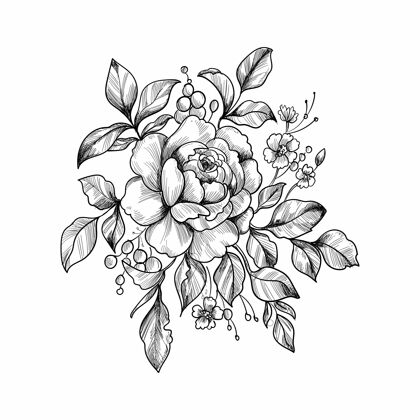 植物手绘装饰花卉素描设计素描花束花