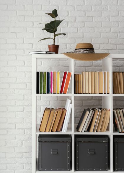 分类有植物和帽子的书架垂直安排书籍