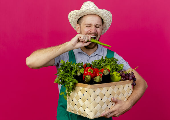 胡椒年轻英俊的斯拉夫园丁穿着制服 戴着帽子 手里拿着一篮子蔬菜 咬着隔离在深红色墙上的辣椒帅哥年轻蔬菜