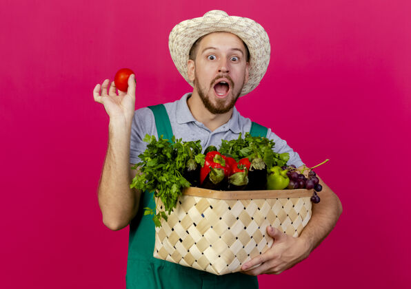 看着令人印象深刻的年轻英俊的斯拉夫园丁在制服和帽子举行的蔬菜和西红柿篮子隔离在深红色的墙上印象西红柿拿着