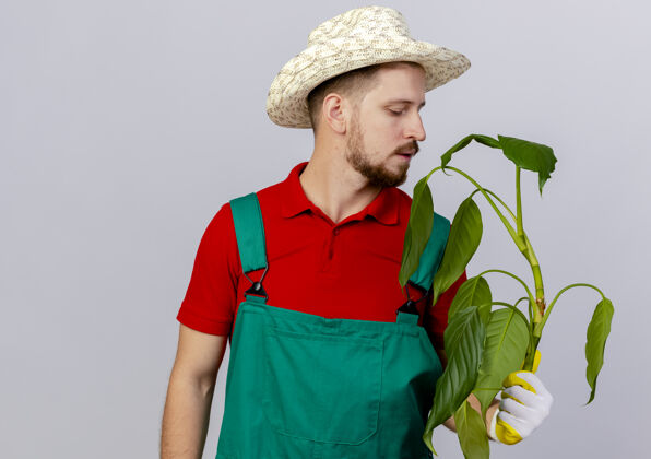 穿年轻英俊的斯拉夫园丁身着制服 头戴花帽 戴着园丁手套 抱着和看着隔离在白色墙壁上的植物复制空间植物手套制服