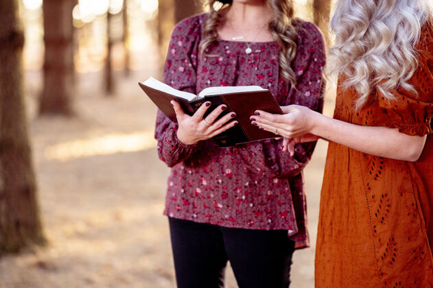 分析打开女性手中的圣经旧书籍教