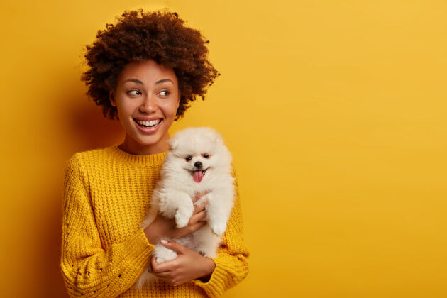 发型快乐的美国黑人女主人与可爱的斯皮茨小狗的水平镜头毛皮快乐积极