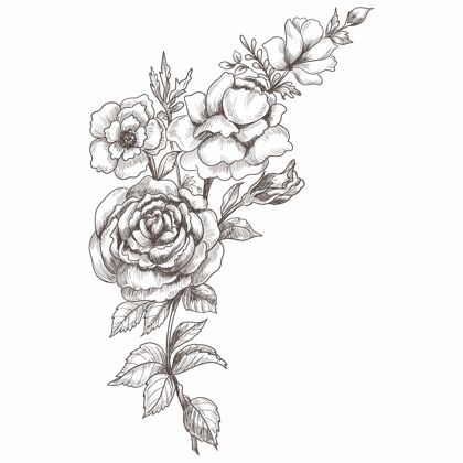 植物花卉构图装饰素描植物学开花素描