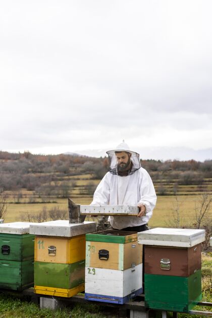 乡村中枪男子与蜜蜂工作生活生活方式活动