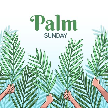 圣周手绘棕榈周日插图教纪念手绘