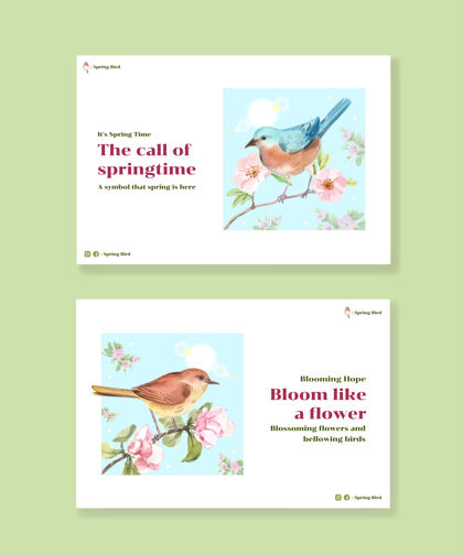 模板为社会媒体和社区水彩插画与春天和鸟的概念设计模板花卉春天鸟类