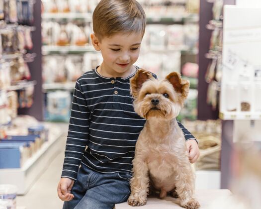 销售可爱的小狗和主人在宠物店购买狗消费