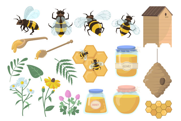 细胞蜜蜂和蜂蜜花 蜂巢和蜂巢 罐子 罐子和勺子隔离在白色背景上木材蜜蜂甜品