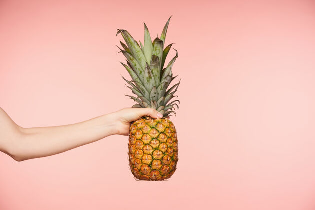 室内女性的手在粉色背景上摆出一副大菠萝的水平照片 手握菠萝的同时手指紧握新鲜水果和食物的概念手势菠萝健康