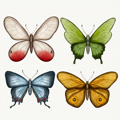 水彩画收集不同的水彩蝶绘画艺术家手绘